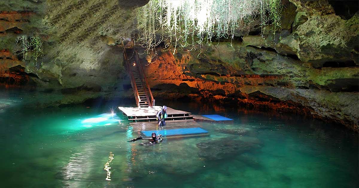 Dive into Florida's Hidden Gem: Devil's Den Springs