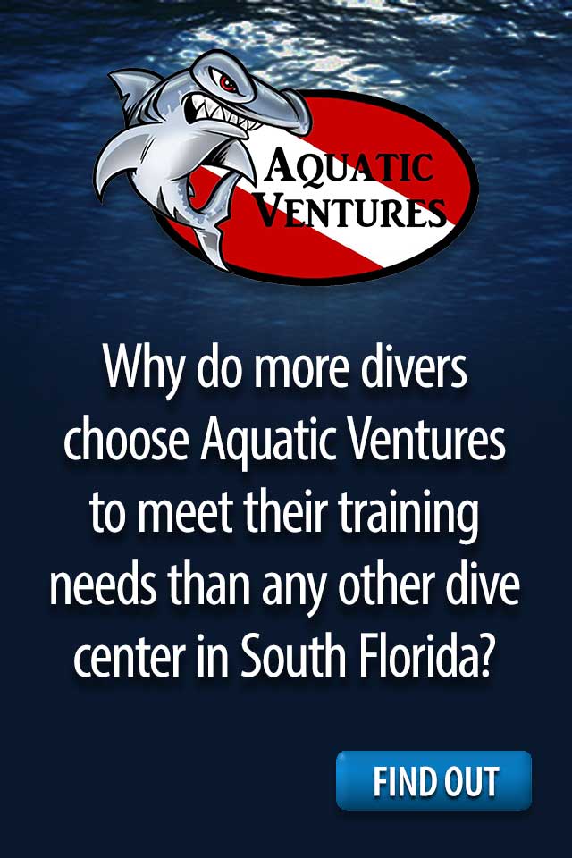 Aquatic Ventures